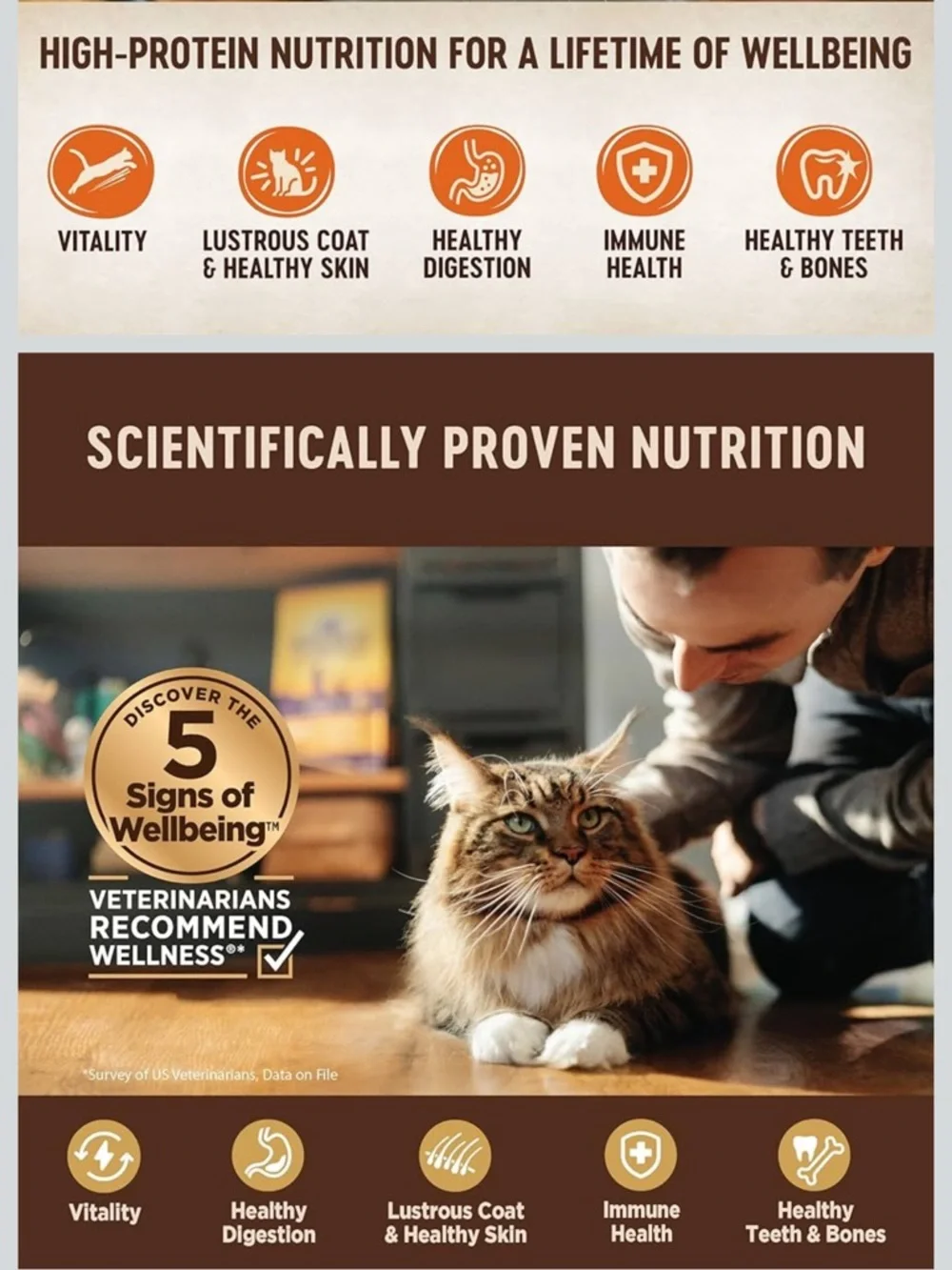 Wellness CORE Tiny Tasters Pate Variety Pack Adult Wet Cat Food 9 pouches